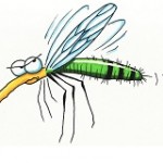 Mosquito